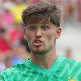 Gregor Kobel