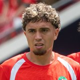 Neil El Aynaoui